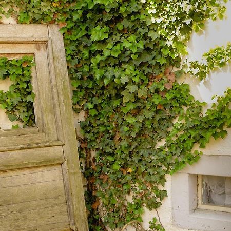 Ferienhaus Ehrenpreis Wißmannsdorf Bagian luar foto